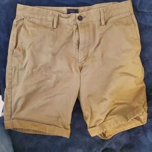 Khaki shorts